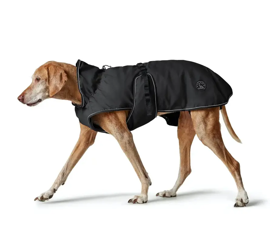 Coat Black Uppsala Dog
