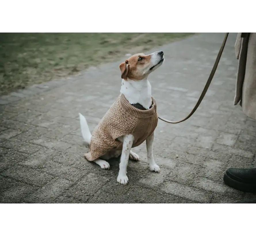 Dog Sweater Malmö Beige