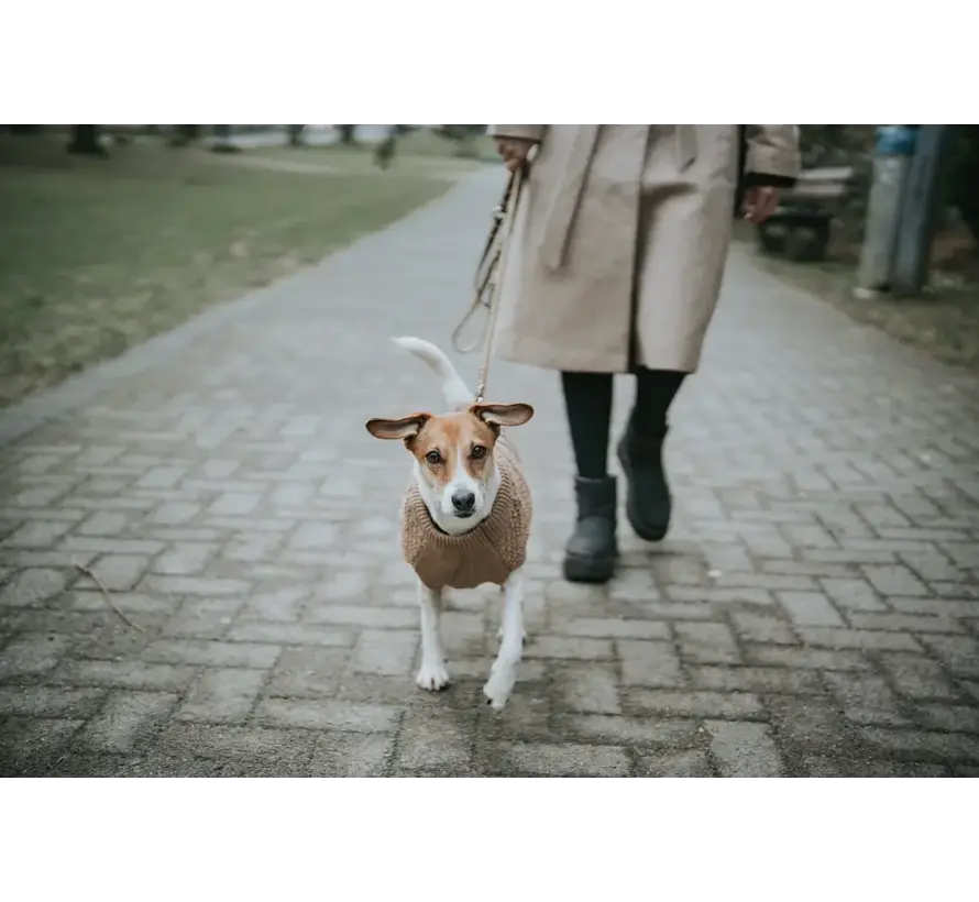 Hondentrui Malmö Beige