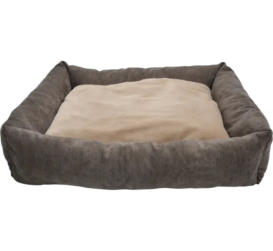 Hondenmand Bodhi Bruin