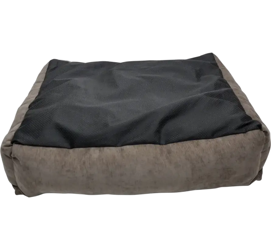 Hondenmand Bodhi Bruin