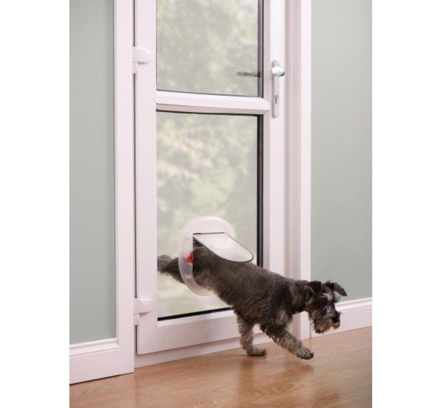 Staywell Dog Flap for small dogs Frosted