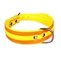 Dog Collar Colors Orange