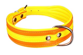 Afbeelding Hondenhalsband Colors Oranje door Petsonline