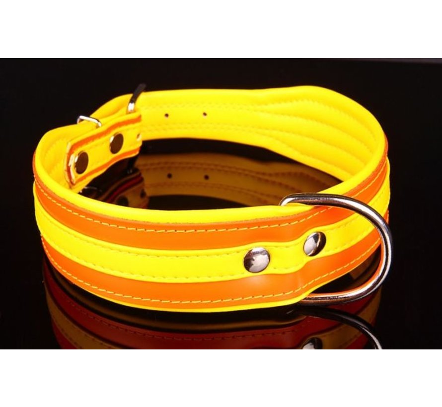 Dog Collar Colors Orange