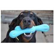 West Paw Hondenspeelgoed Zogoflex Hurley Aqua