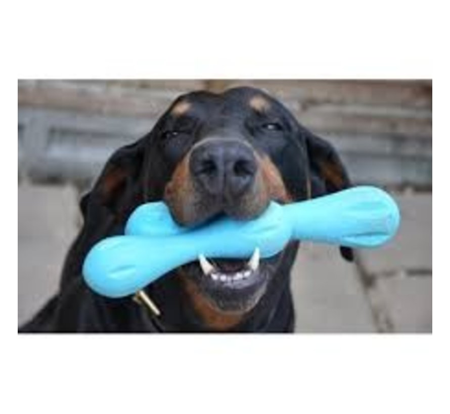 West Paw Zogoflex Mini Aqua Hurley dog toy