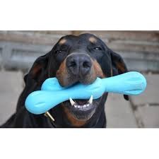 Afbeelding Zogoflex Hurley Dog Bone - Large - Aqua door Petsonline