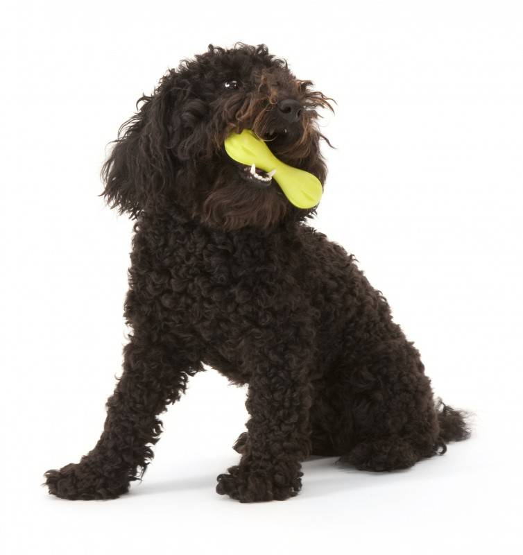 Afbeelding Zogoflex Hurley Dog Bone - Small - Lime door Petsonline