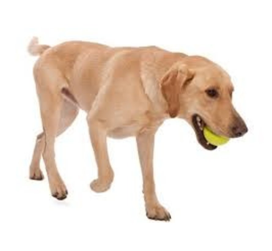 Dog Toy Zogoflex Jive Lime