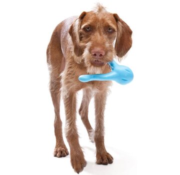 West Paw Dog Toy Zogoflex Tizzi Aqua