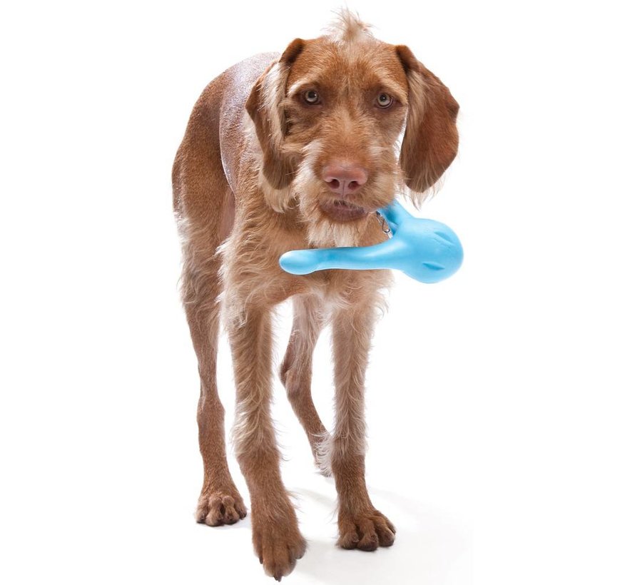 Dog Toy Zogoflex Tizzi Aqua