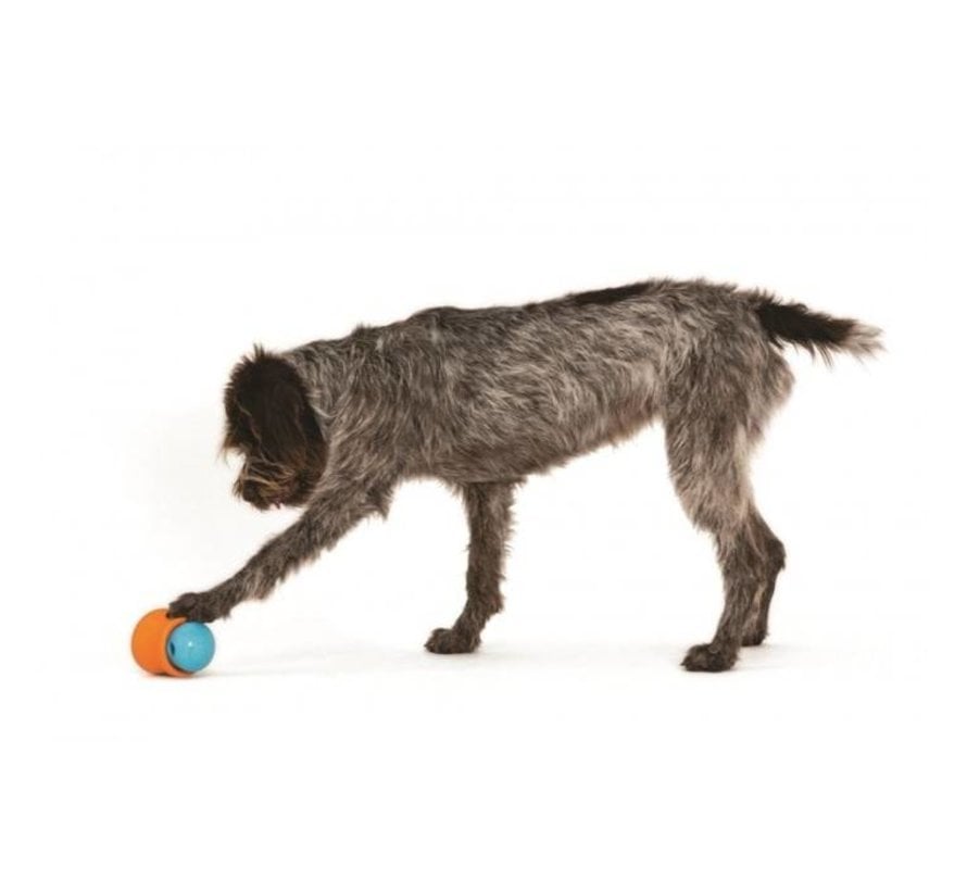 Dog Toy Zogoflex Toppl Orange