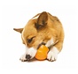 Dog Toy Zogoflex Toppl Orange