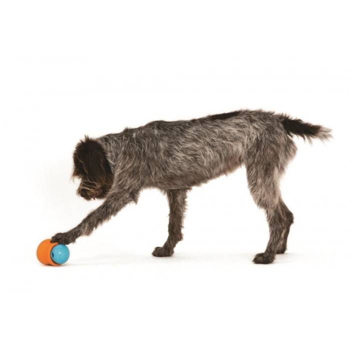 Afbeelding Zogoflex Toppl Treat Toy - Small - Aqua door Petsonline