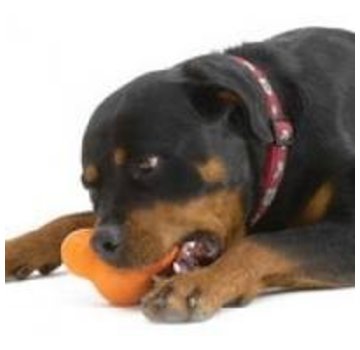 West Paw Dog Toy Zogoflex Tux Orange