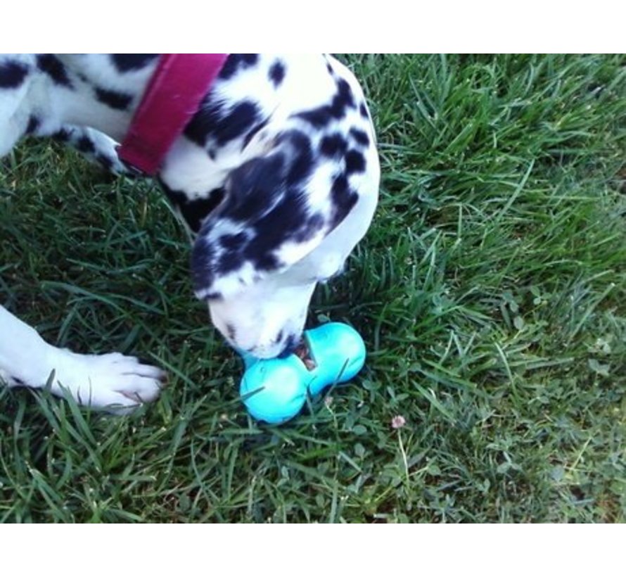 Dog Toy Zogoflex Tux orange