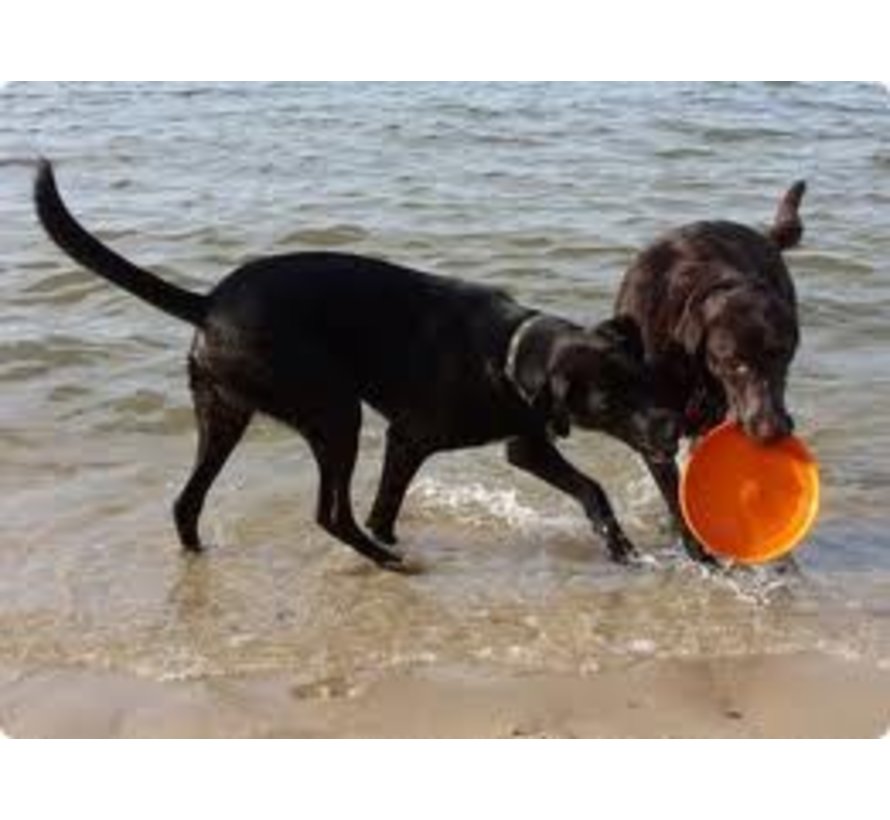 Hondenspeelgoed Zogoflex Zisc Oranje