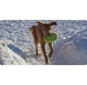 West Paw Design Dog Toy Zogoflex Zisc Lime