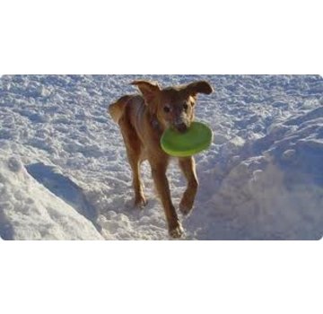 West Paw Dog Toy Zogoflex Zisc Lime
