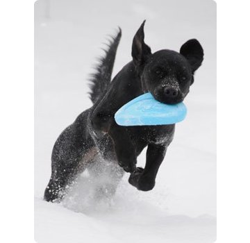 West Paw Design Dog Toy Zisc Aqua