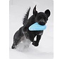 Dog Toy Zisc Aqua