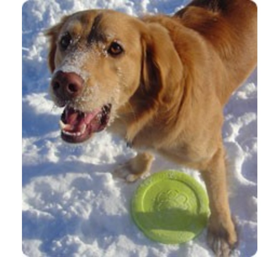 Hondenspeelgoed Zogoflex Zisc Lime