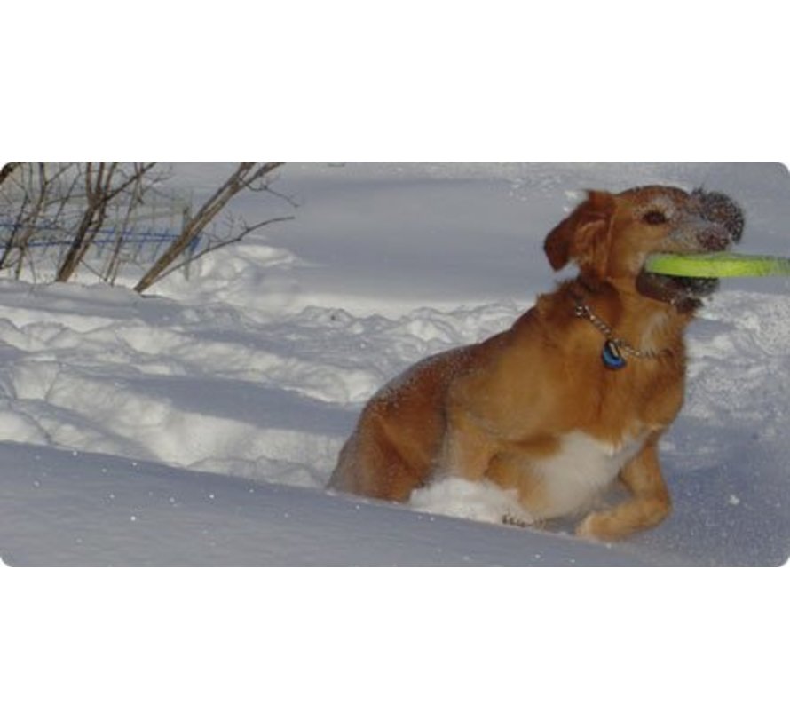 Hondenspeelgoed Zogoflex Zisc Lime