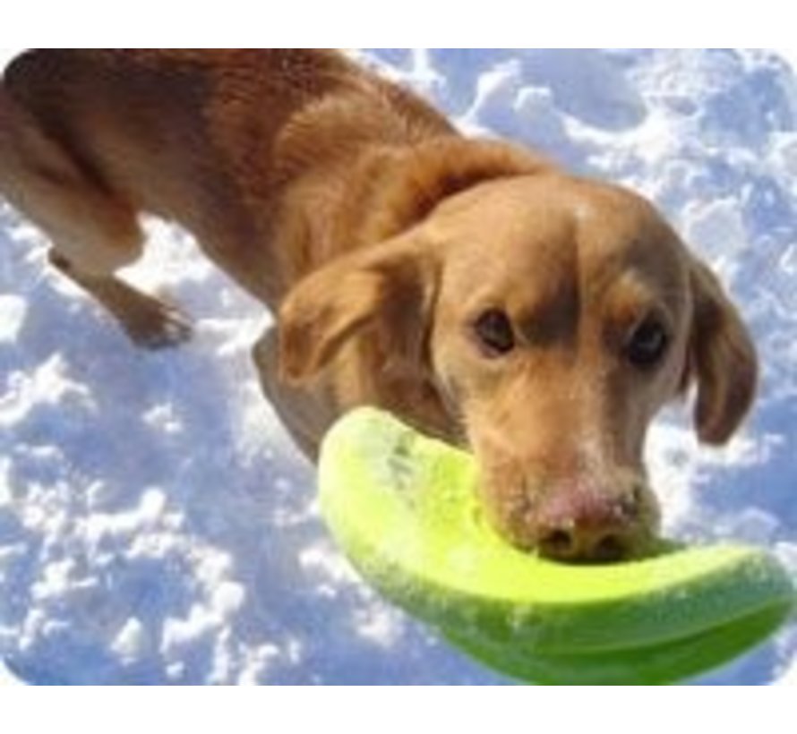 Hondenspeelgoed Zogoflex Zisc Lime