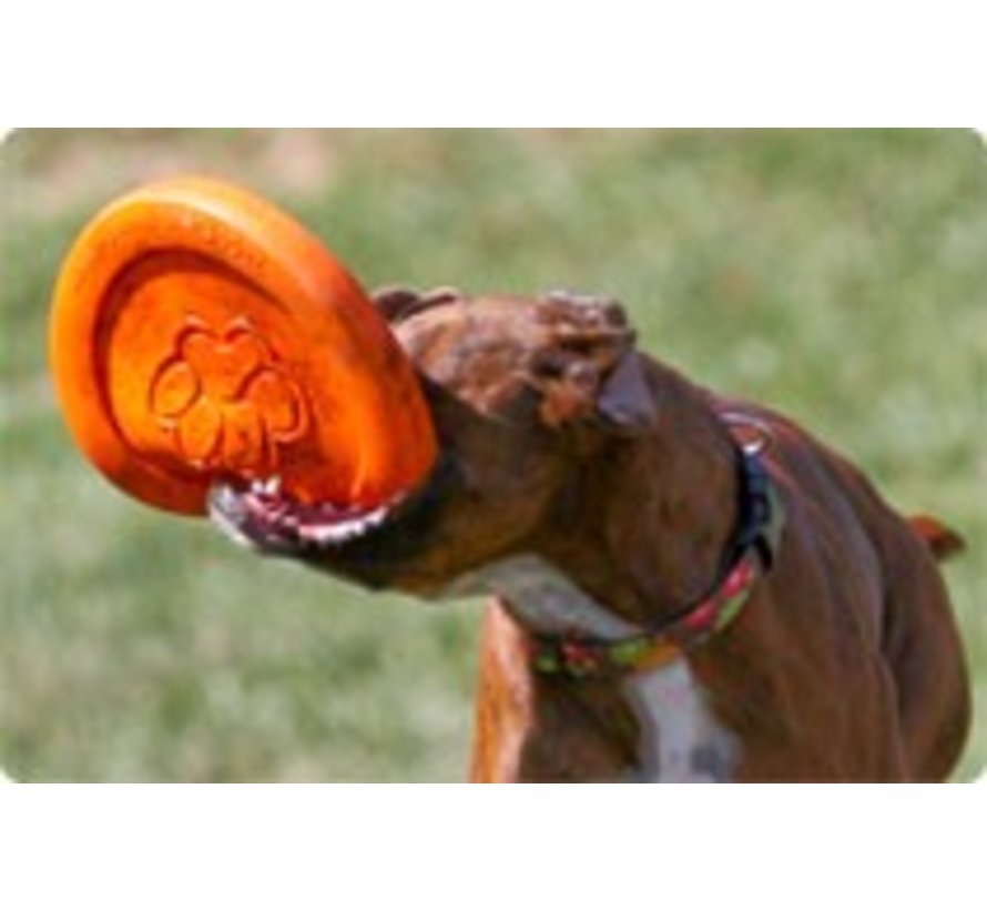 Dog Toy Zogoflex Zisc Orange