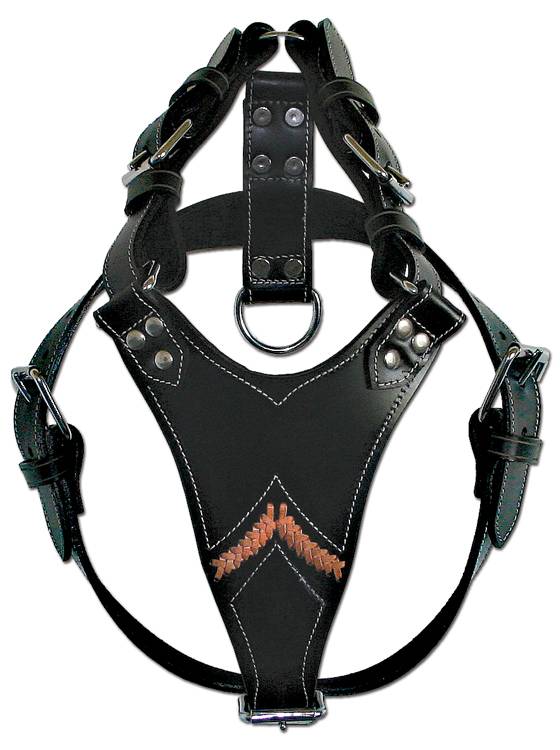 Doxtasy Dog Harness Gladiator Black