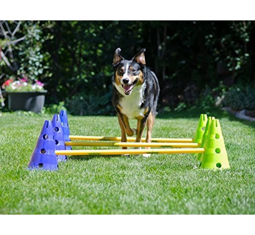Canine Dog Agility Gym Kit
