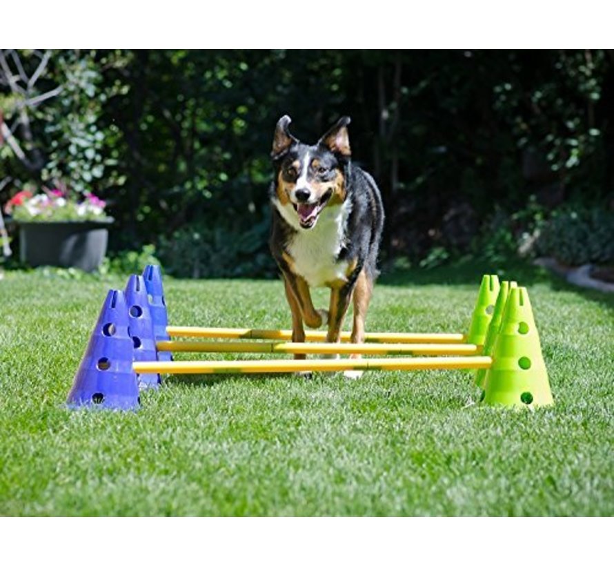 Dog Agility Set – Versatile Home Training Kit