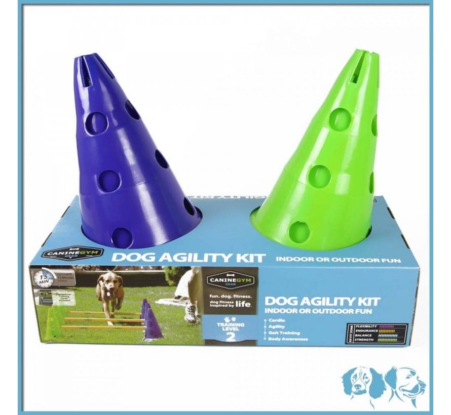 Canine Dog Agility Gym Kit