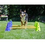 Agility and training