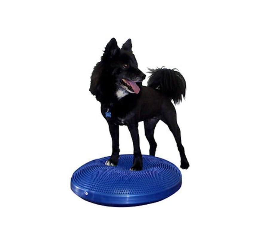 Dog Balance Disk Blue – Professional Fitness & Stability Training