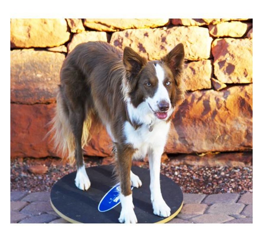 Dog Wobble Board – Professional Balance & Stability Trainer