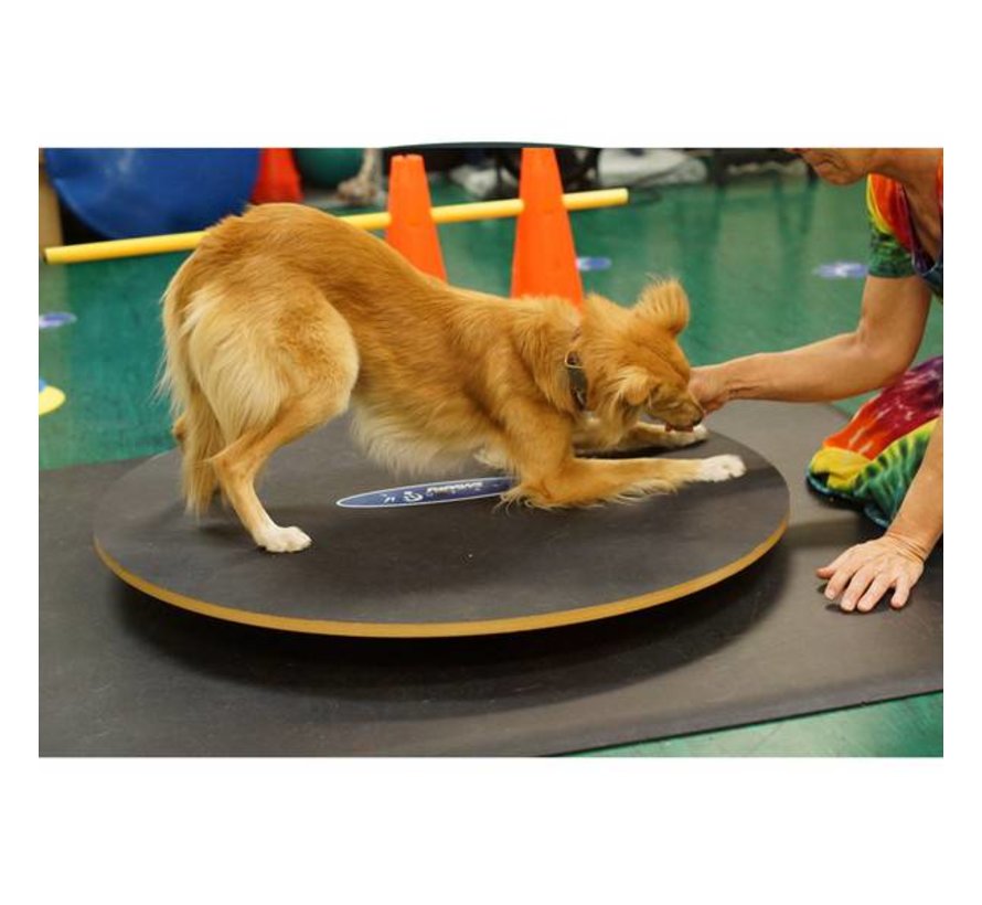 Balansbord voor Honden – Professionele Training en Stabiliteit