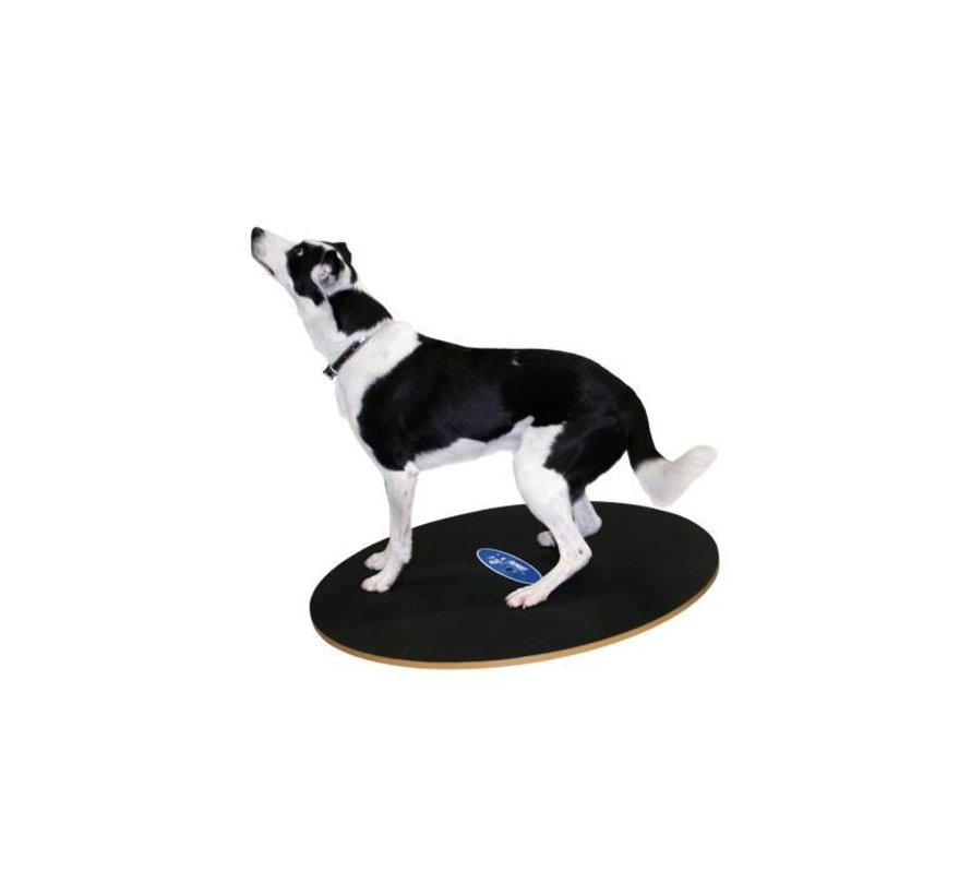 Wobble Board - FitPaws - Animal Ortho Care