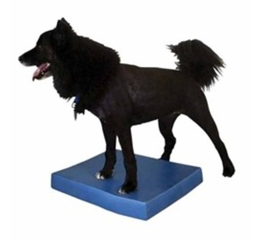 Balance Pad for Dogs – Entry-Level Balance and Conditioning Training