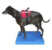 FitPAWS Balansmat voor Honden-  Begin met Balans- en Conditietraining