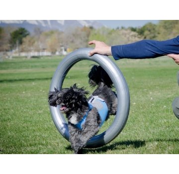 FitPAWS Donut Houder – Stabiliteit en Veiligheid bij de Balanstraining