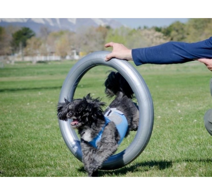 Donut Holder – Stability and Safety for Balance Training