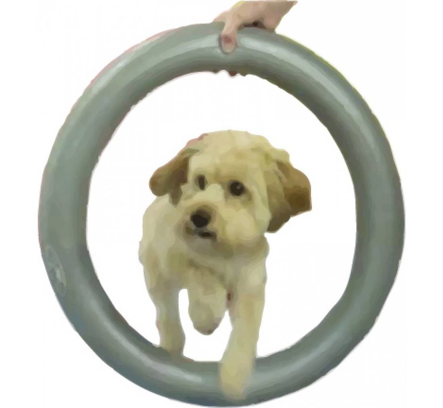 Donut Houder – Stabiliteit en Veiligheid bij de Balanstraining