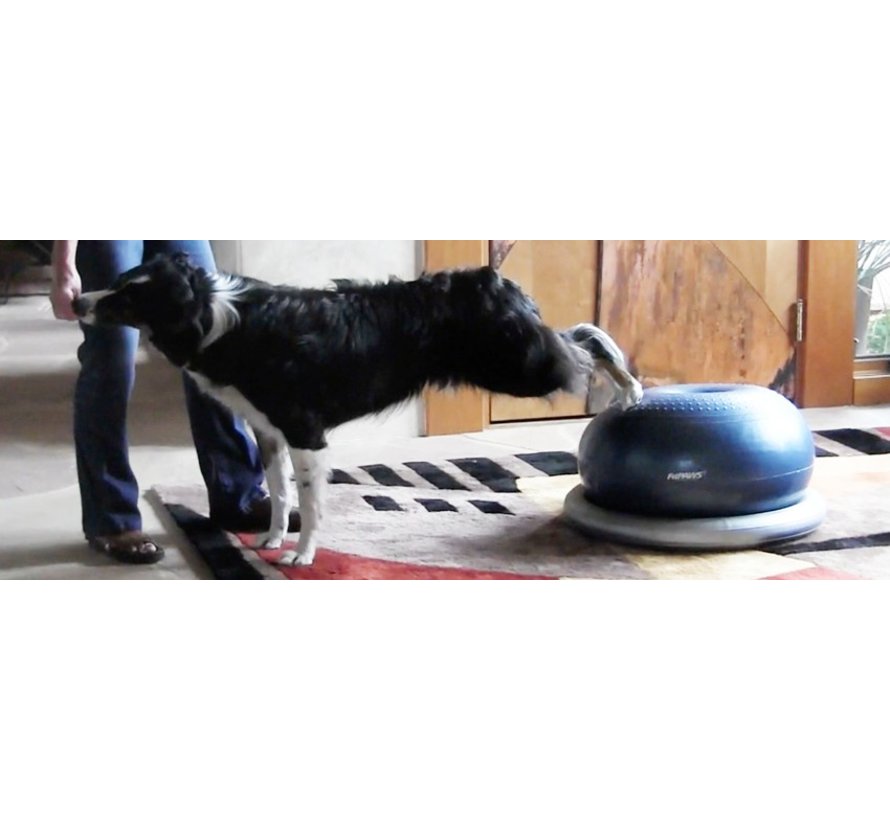 Donut Holder – Stability and Safety for Balance Training