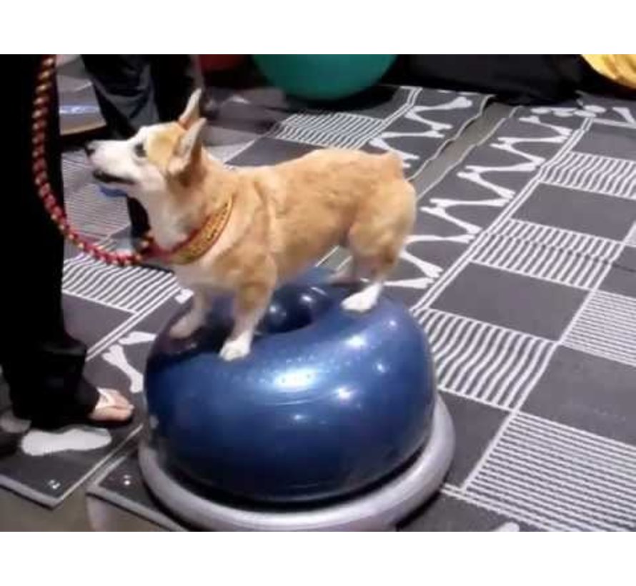 Donut Holder – Stability and Safety for Balance Training