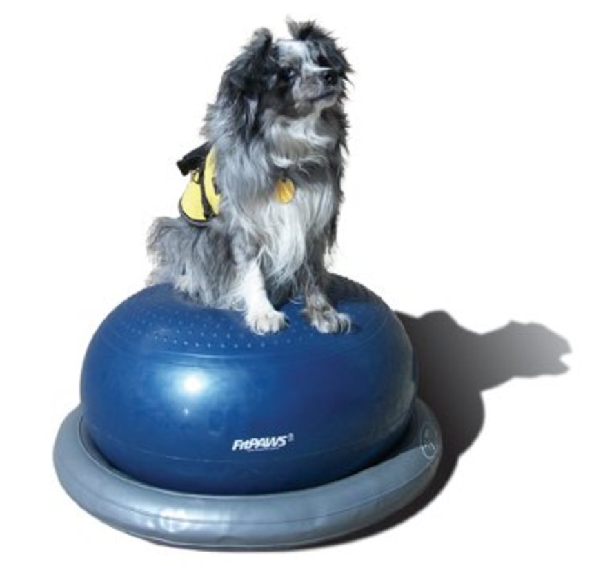 Donut Holder – Stability and Safety for Balance Training