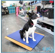 FitPAWS Dog Rocker Board