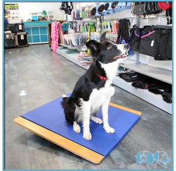 FitPAWS Kantelbord voor Honden – FitPAWS Groot Balansbord (75x75 cm)