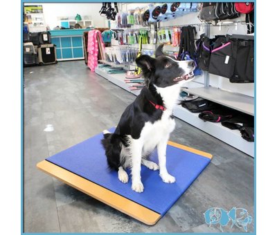 FitPAWS Dog Rocker Board
